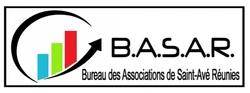 B.A.S.A.R.